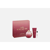 Gift Set Coach Wild Rose Edp 90ML-Al Reem Perfumes (The Perfume Qatar)